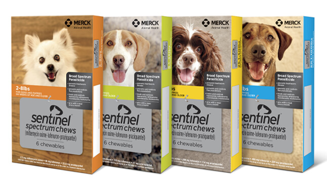 bravecto-and-sentinel-instant-rebates-veterinary-village